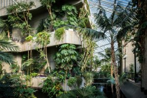 https://theculturetrip.com/europe/united-kingdom/england/london/articles/barbican-conservatory-a-peek-inside-londons-secret-garden/