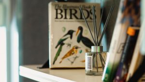 North Camden residence - Studio